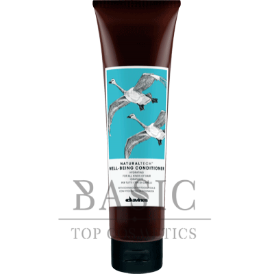 Davines Well-Being Conditioner